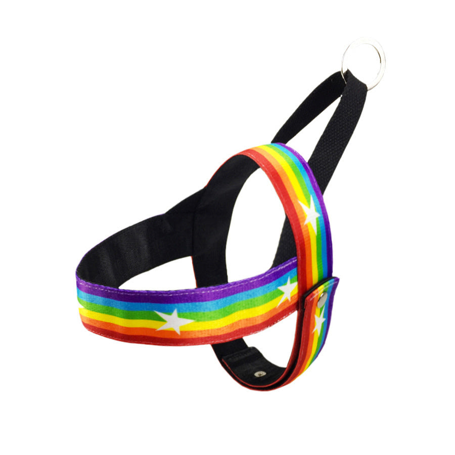 Cooles Hundegeschirr in Regenbogen Design - Shopteufel