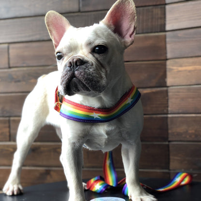 Cooles Hundegeschirr in Regenbogen Design - Shopteufel