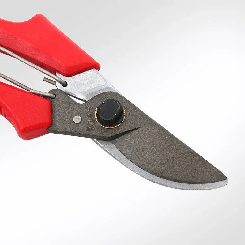 Garten, Obstbaumschere - Shopteufel