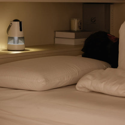 Projektions-Mückenabwehr-Nachtlicht mit doppelter Funktion: Tragbare Mückenvernichtungslampe für den Außenbereich - Shopteufel